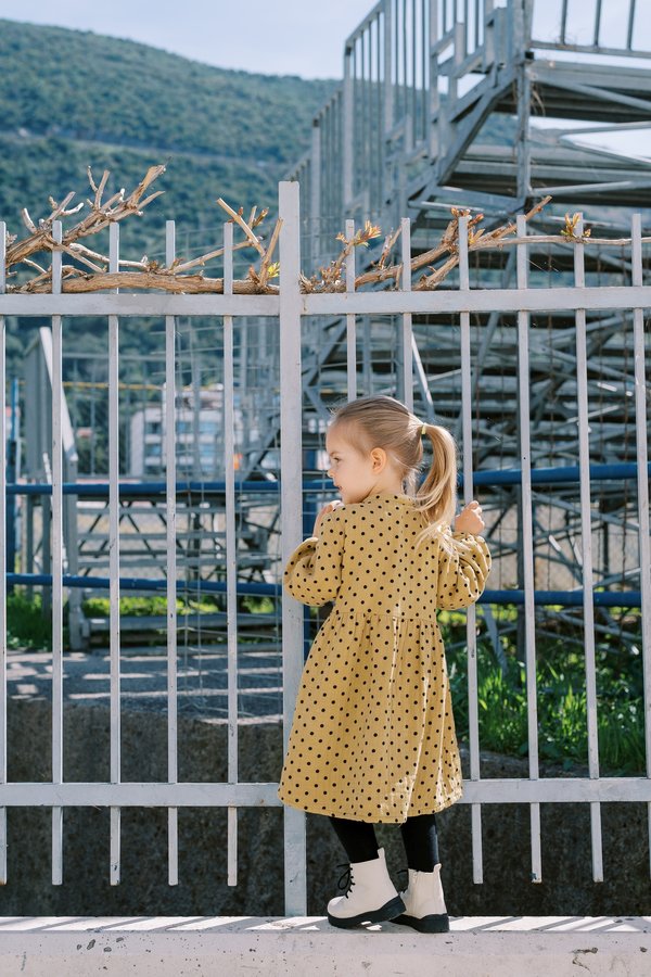 Plaques de soubassement clôture : résistance et style au rendez-vous